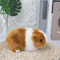 ราคา ZHUJI จำลอง ตุ๊กตาหนูตะเภา ตุ๊กตาน่ารัก ตุ๊กตาสัตว์ ตุ๊กตาแฮมสเตอร์ ของขวัญคริสต์มาส ชีวิตจริง ตุ๊กตาหนูนุ่ม ของเล่นเด็ก (26140858052)