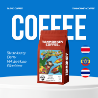 ราคา Fruity Dreamer เมล็ดกาแฟคั่ว Blend Coffee Ethiopia Thai Costa Rica คั่วอ่อนกลาง Tanmonkey Coffee (17957402735)