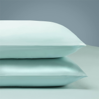 ราคา DreamHome ปลอกหมอนเดี่ยว Ice Silk Tencel ขนาด 48x74 ซม (26068937977)