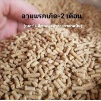 ราคา อาหารไก่ชน ตรา ขุนศึก ชนิด เม็ด เบอร์ 1 กับ เบอร์ 2 แบ่ง ขาย ขนาด 20 กก เหมาะสำหรับ ไก่ชน โดยตรง (20572541073)