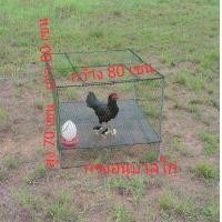 ราคา กรงอนุบาลลูกไก่ กรงไก่ กรงลูกไก่ กรงไก่แจ้ กรงเลี้ยงไก่ กรงเลี้ยงนก กรงกระต่าย กว้าง 80 เซน ยาว 80 เซน สูง 70 เซน แข็งแรงใช้งานได้ดี (19363579419)