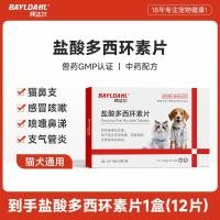 ราคา BAYLDAHL การรักษาโรคติดเชื้อทางเดินหายใจสำหรับแมวและสุนัข (25820628152)