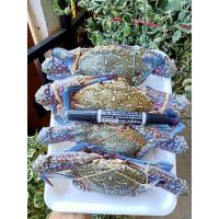 ราคา ปูม้าไซส์3 4ตัวโล แพ็คละ1กิโลกรัม 1แพ็คมี3 4ตัว ปูม้าสดๆ แล้วนำมาแช่แข็ง (24578626581)