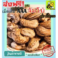 ราคา 500 กรัม จัมโบ้ มะม่วงหิมพานต์เผา พร้อมทาน เม็ดเต็ม เม็ดมะม่วงหิมพานต์อบ Cashew Nuts เม็ดมะม่วง เม็ดมะม่วงหิม เม็ดมะม่วงหิมพานต์ เมล็ดมะม่วงหิมพาน เม็ดหัวคร๊ก เม็ดม่วง เม็ดยาร่วง โหม่งหัวครก (12646488