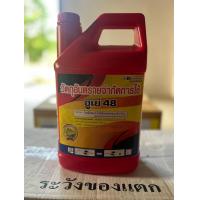 ราคา ไกลโฟ เซต 4 ลิตร สารไกโพเซต 48 ตราดอกจำปีสีทอง (24204083974)