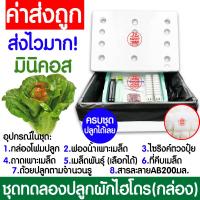 ราคา โค้ดส่งฟรี ชุดทดลองปลูกผักไฮโดร อุปกรณ์ครบชุด ผักไร้ดิน ชุดปลูกผัก ชุดปลูก ผักไฮโดรโปนิกส์ ผักไฮโดร กล่องโฟม ผักสลัด กรีนโอ๊ค คอส (19172576084)