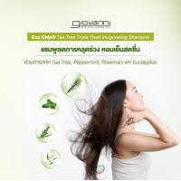 ราคา Giovanni แชมพูบำรุงเส้นผม ลดผมร่วง Giovanni Eco Chic Tea Tree Triple Treat Invigorating Shampoo 250 ml (1689598343)
