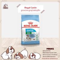 ราคา Royal Canin อาหารสุนัข Mini Starter Mother Babydog ชนิดเม็ด สำหรับแม่และลูกสุนัขพันธุ์เล็ก MNIKS (8116161954)