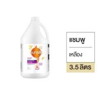 ราคา ซันซิลแชมพูแกลลอน 3 5ลิตร ฟรีแก้วมิคกี้เมาส์1ใบ (25077412073)