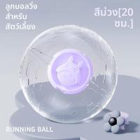 ราคา ลูกบอลวิ่งสำหรับหนูแฮมสเตอร์ (26014356691)