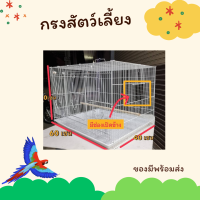 ราคา กรงสัตว์เลี้ยง กรงนก กระรอก กระต่าย แกสบี้ ชูการ์ แพรี่ด็อก พร้อมอุปกรณ์ ขนาดยาว 46เซน สูง30เซน กว้าง30เซน (17530980597)