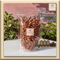 ราคา ดิบ อัลมอนด์ แอลม่อน แอลมอล เต็มเม็ด Raw Almond kernel ธัญพืช ขนาด 1000 กรัม ไม่เหม็นหืน (10686722793)