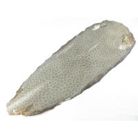 ราคา PELGIO หนังปลากระเบนลายเสือตากแห้งแท้ เกรด A สำหรับหุ้มดาบซามูไรญี่ปุ่น Katana (17302479453)