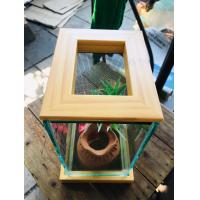 ราคา โหลปลากัด หรือตู้ปลากัด กรอบเรซิ่น สีดำ ขาว ขนาด 4X8X8 นิ้ว พร้อมฐานและฝาปิดอย่างดี หรูหรา กระจกหนา 4 mm (15152108695)