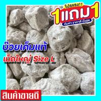 ราคา ส่งฟรี ซื้อ 1แถม 1 ขนาด 500 กรัม บ๊วยเค็มแท้ ลูกใหญ่ บ๊วยเค็ม แอ๊ปเปิ้ล ไซส์ L จัมโบ้ เม็ดใหญ่ บ๊วยฟรุ๊ตทาซี่ บ๊วยเค็มขาว มีเกร็ดเพชรแท้ บ๊วยทุกชนิด บ๊วยทุกชนิด บ๊วยเค็มอัดเม็ด บ๊วยซากุระ บ๊วยเค็มสีขา