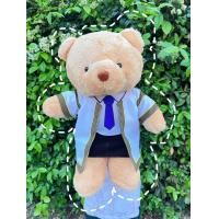 ราคา ตุ๊กตาหมีบัณฑิต ตุ๊กตาหมีใส่ชุดครุย ขนาด 20 นิ้ว งานน่ารัก (23895391333)