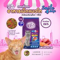 ราคา แคทตี้แคท 4 มิกซ์ 20 10 7 3 kg FT70 FT69 FT74 FT72 อาหารเม็ดแมว รสปลาทะเล โปรตีนสูง 26 บำรุงลำไส้ ลดก้อนขน ตาสดใส (25610977549)