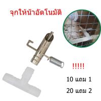 ราคา ซื้อ10แถม1 จุกให้น้ำอัตโนมัติ จุกนํ้าหนูพุก จุกให้น้ำหนูนา จุกน้ำให้หนู จุกน้ำให้กระต่ายแสตนเลส หัวจุกน้ำหนูนา (13399387620)