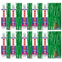 ราคา เมล็ดพันธุ์พริกยาวโจลอง 600เมล็ด พร้อมส่ง (25127236515)
