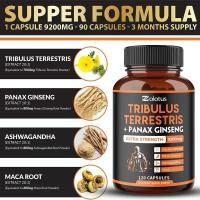 ราคา Tribulus terrestris 9200mg 60Cps Zolotus Mens Health สมุนไพรโคกกระสุน เสริมสมมรถภาพเพศชาย บำรุงสุขภาพผู้ชาย (22025329253)