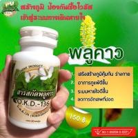 ราคา พลูคาวสารสกัดเข้มข้น คาวตอง ชนิดแคปซูล เสริมภูมิคุ้มกัน ไอเรื้อรัง หายใจติดขัด ใข้หวัดใหญ่ ปอด ภูมิแพ้เรื้อรัง ไซนัสเสมหะผื่นคัน (10799237738)