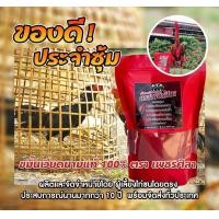 ราคา ขมิ้นเวียดนาม ตรา เพชรศิลา (25761366283)