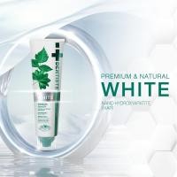 ราคา แพ็คคู่สุดคุ้ม Dentiste Extra Strong Mint Toothpaste 100 g Dentiste Premium Natural White Toothpaste 100g (25145753457)