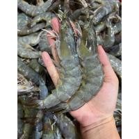 ราคา กุ้งขาวตัวใหญ่ๆ ไซส์20 25ตัวโล กุ้งสดๆแล้วนำมาแช่แข็ง ขายแพ็คละ 1กิโลกรัม (24578591386)