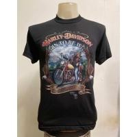 ราคา เสื้อยืด ลาย ฮาเล่ 3D สไตล์วินเทจ (10775510552)