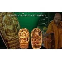ราคา เหรียญพระนาคปรกใบมะขาม รุ่นประทานพร พ่อท่านเขียว วัดห้วยเงาะ ปัตตานี ปี 2558 จำนวน2องค์ (23999366142)