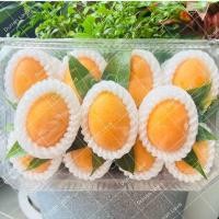 ราคา มะยงชิด ไซส์ใหญ่ มะยงชิดนครนายก มะยงชิดหวาน สดจากสวน หวานกรอบอร่อย วิตามินซีสูง (23612757583)