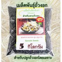 ราคา เมล็ดถั่วงอก ถั่วเขียวผิวดำ ถั่วแขก สำหรับปลูกถั่วงอกโดยเฉพาะ Bean Sprouts seeds 5 กิโลกรัม (431293112)