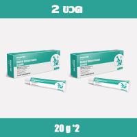 ราคา ครีมทาริดสีดวงทวาร 20g แพ็คคู่ มีสต๊อกในไทย บรรเทาอาการปวด ป้องกันริดสีดวงทวาร ครีมทาริดสีดวงทวารบรรเทาอาการ (25657674880)