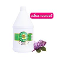 ราคา Carebeau Body Massage Oil แคร์บิว บอดี้ มาสสาจ ออยล์ 3000 ml น้ำมัน นวดตัว (24811319880)