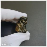 ราคา พยัคฆ์คลองด่าน เสือหลวงพ่อสาย สมุทรปราการ เสือทรงอำนาจ สร้างแทนเขี้ยวเสือแท้ ท่านเป็นปรมาจารย์เครื่องรางเสือ แห่งสยาม จันทราภา (16988507038)