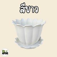 ราคา พิเศษ โปรโมชั่น ลดราคา กระถางต้นไม้ รุ่นบิวตี้ 18 นิ้ว สีขาว จานรอง มีหลายสีให้เลือก สีขาว เทา โอ๊ค ดีไซน์ทรงดอกไม้ สำหรับปลูกต้นไม้ ส่งฟรี (126522718659)