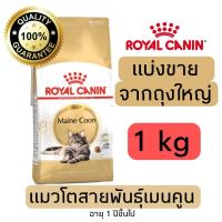 ราคา แบ่งขาย อาหารแมว Royal canin Maincoon แมวโตพันธุ์เมนคูน 500g 800g 1kg อาหารแมวรอยัลคานินแบบแบ่งขาย (21638098802)