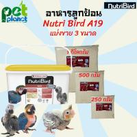 ราคา 250g 500g 1kg อาหารลูกป้อน Nutribird A19 อาหารลูกนก อาหารนก นมผงนก นมสำหรับนก สูตรโปรตีนและไขมันสูง แบ่งจำหน่าย 250 g 1 Kg (11135039488)