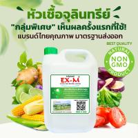ราคา จุลินทรีย์ EX M อีเอ็ม หัวเชื้อจุลินทรีย์EM เข้มข้น ประสิทธิภาพสูง จากธรรมชาติ ขนาด 5 ลิตร (382520358)