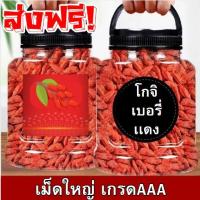 ราคา แนะนำ โกจิเบอรี่แดง เกรดA เก๋ากี้ เก๋ากี้แดง โกจิเบอรี่ โกจิเบอร์รี่ Goji Berry เก๋ากี้ชงชา สมุรไพร เม็ดใหญ่ สะอาด ออร์แกนิก เก๋ากี้อบแห้ง โกจิเบอรี่อบแห้ง ผลไม้อบแห้ง บำรุงสายตา ธัญพืช อาหารเพื่อสุข 