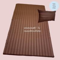 ราคา ที่นอนปิคนิค 3 5 ฟุตหนา 3 นิ้ว แถมหมอนกลาง 1 ใบ ผ้าโรงแรม (15692499577)