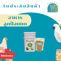 ราคา อาหารลูกป้อนนก อาหารลูกป้อน อาหารลูกนก สูตรลูกนกทั่วไป แบ่งขาย 100G 200G 500G อาหารนก อาหารนกแก้ว ใช้ได้กับนกทุกสายพันธุ์ อุปกรณ์เลี้ยงนก สำหรับลูกป้อน ลูกนกทั่วไป มีสารอาหารเหมาะสม เจริญเติบโตไว พัฒน