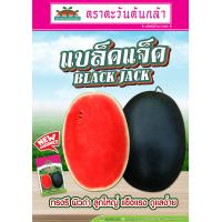 ราคา แตงโมแบล็คแจ็ค 40กรัม เมล็ดพันธุ์แตงโม ตราตะวันต้นกล้า Black Jack แบล็คแจ็ค แตงโม แบล็คแจค (23958454527)