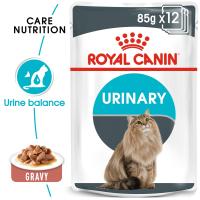 ราคา Royal canin อาหารเปียกแมว โรยัล คานิน เพาซ์ อาหารแมว โหล 12 ซอง (15595755637)