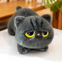 ราคา GUAIBUDIAN ตุ๊กตาแมวดำนุ่ม ๆ (25846175106)