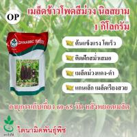 ราคา เมล็ดพันธุ์ ข้าวโพด ข้าวเหนียวสีม่วง นิลสยาม ตรา ใบไม้ ขนาด 1 กก จำนวน 1 ซอง จาก ไดนามิคพันธุ์พืช เมล็ดข้าวโพด Purple Waxy Corn seeds Nil Siam 1 kg from Dynamic Seeds (1119572152)