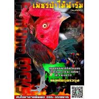 ราคา เชื้อไข่ไก่ชนสายเจ้ารอนนี่ แม่004 พิเศษ 3ฟอง 300 (11160985546)
