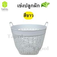 ราคา เข่งปลูกผัก เข่งพลาสติก เบอร์ 7 มี 3 สี ขาว ดำ น้ำเงิน ตะกร้าพลาสติก ขนาดกำลังดี ระบายน้ำได้ดี (25158598219)