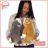 ราคา Doony doll ส่งเร็ว จากกทม ตุ๊กตา หมาชิบะ หมาไซบีเรียน 55cm ของขวัญวันเกิด ของขวัญให้แฟน วาเลนไทน์ ของขวัญปัจฉิม หมอนข้าง (873048631)