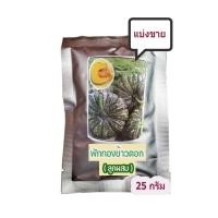 ราคา ฟักทองข้าวตอก ทิพย์ทอง ตรา Seedline เนื้อเหลืองเข้ม หนาแน่นมัน (23851125702)